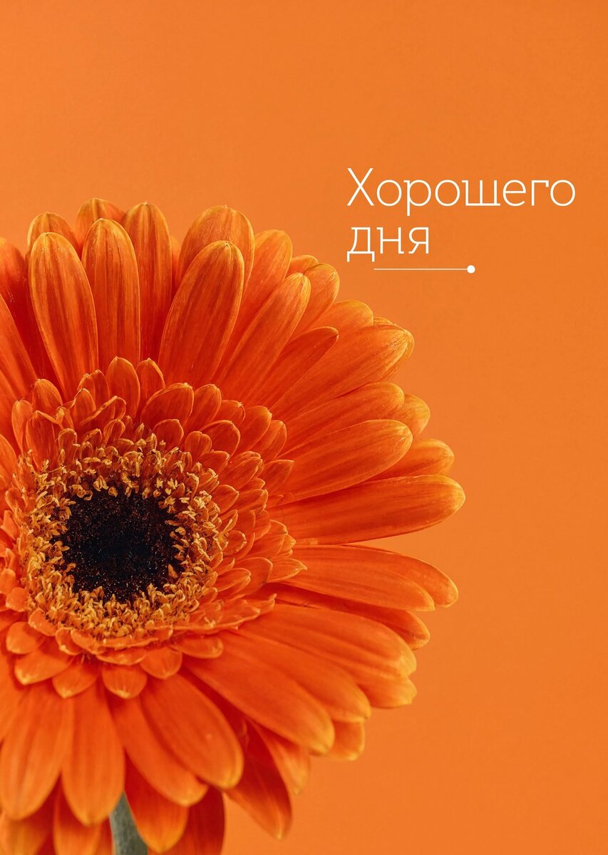 Открытка "Хорошего дня" #108