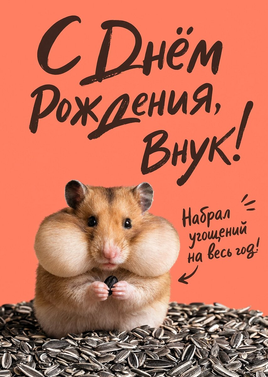 Открытка С днем рождения внук #3