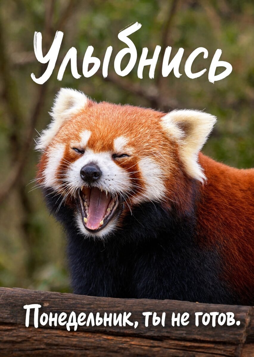 Открытка "Улыбнись" #33